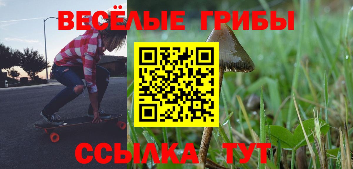 Саратов  магазин продажи   Вход с VPN  Псилоцибиновые грибы ЛСД 